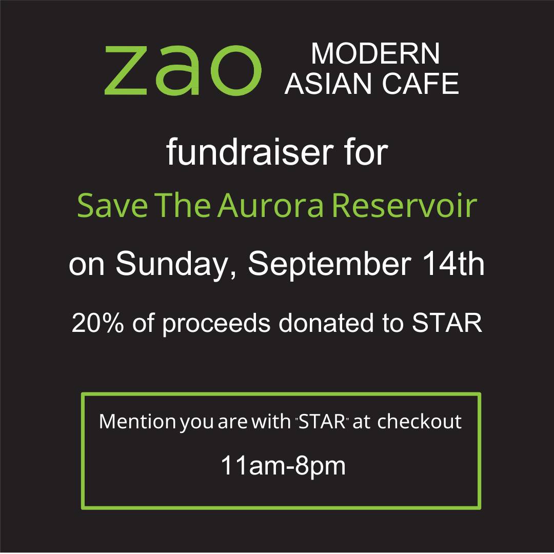 Zao Flyer